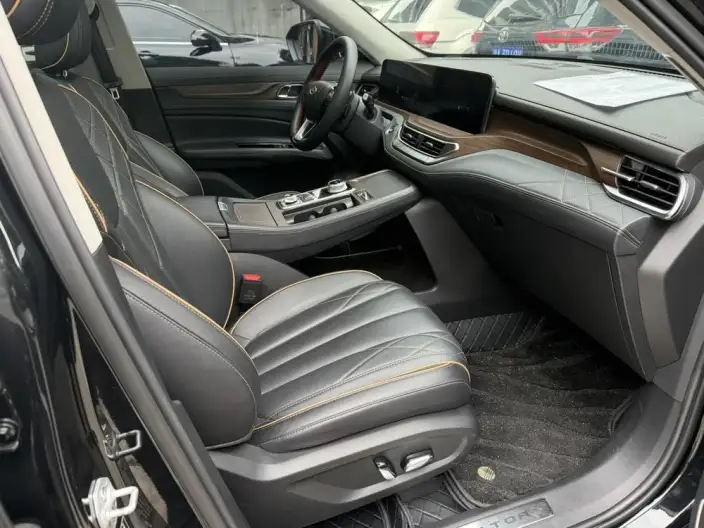 Lingyu 2021 Model EcoBoost 225 6 seat Zun Ling Model – фото 7