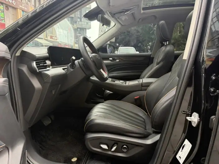 Lingyu 2021 Model EcoBoost 225 6 seat Zun Ling Model – фото 10