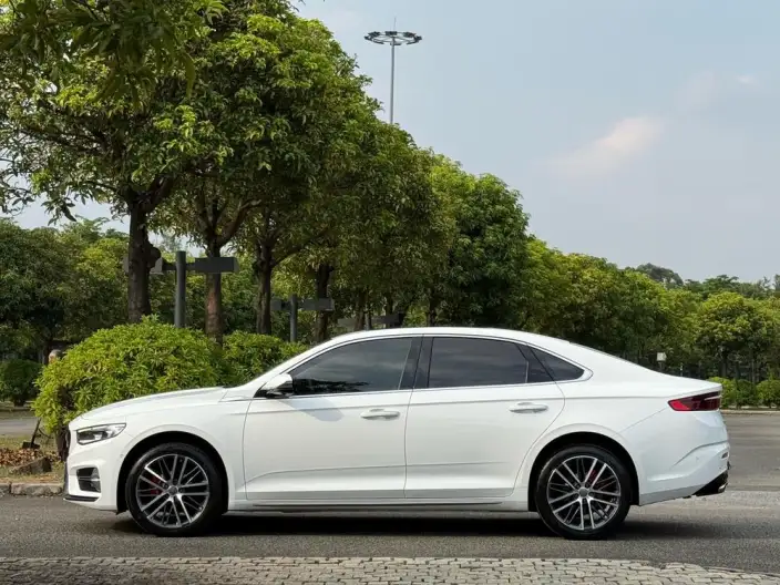 Geely StarRui 2023 Model 2.0T Noble Model – фото 4