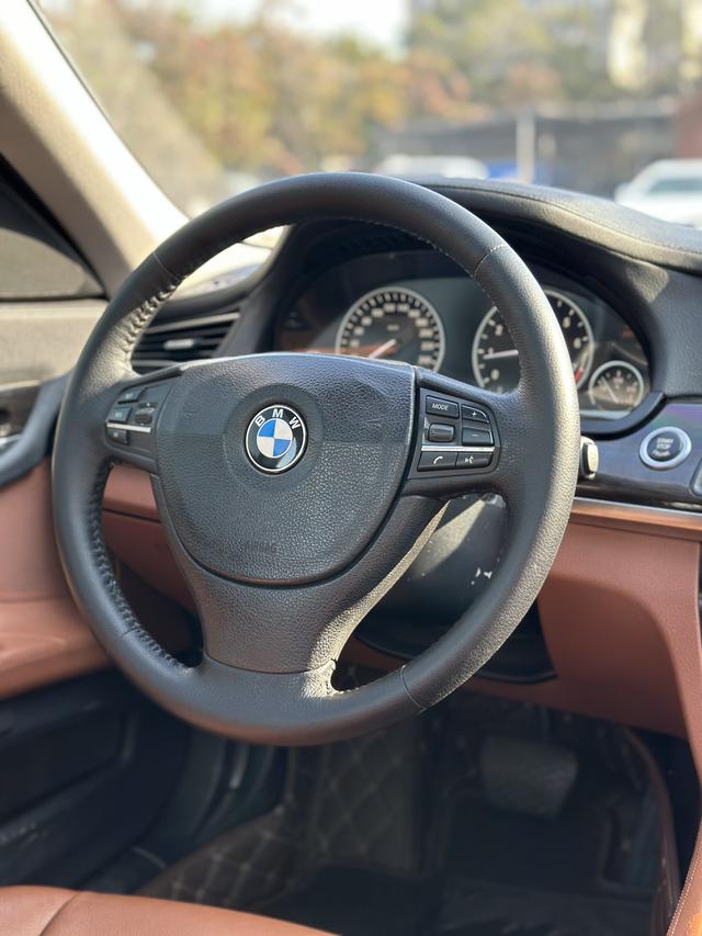 BMW 7 Series 2009 740Li Advantage – фото 14