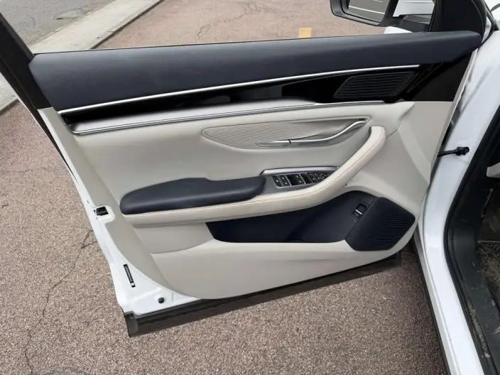 BYD Song PLUS EV 2023 Model Champion Edition 520KM Noble Model – фото 7
