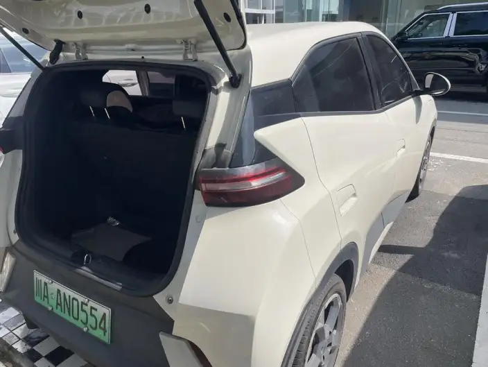 BYD Seagull 2023 Model Vitality Edition – фото 2