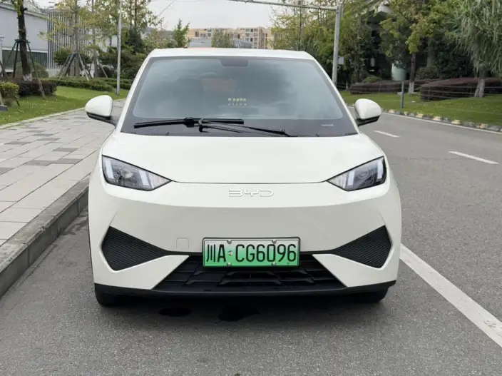 BYD Seagull 2025 Model 305KM Vitality Edition – фото 2