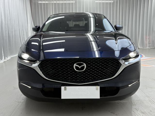Mazda CX-30 2022 2.0L Automatic Quality Joy – фото 2