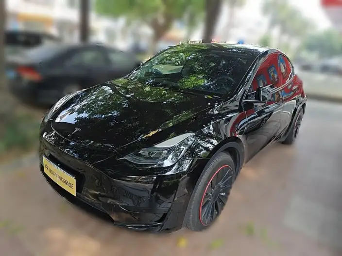Model Y 2022 Model Facelift Rear-wheel drive version – фото 1