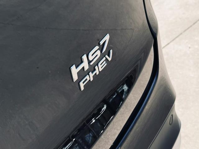 Hongqi HS7 PHEV 2025 модификация комплектация 2.0T 2WD Flag Xiang Edition 6 seat – фото 7