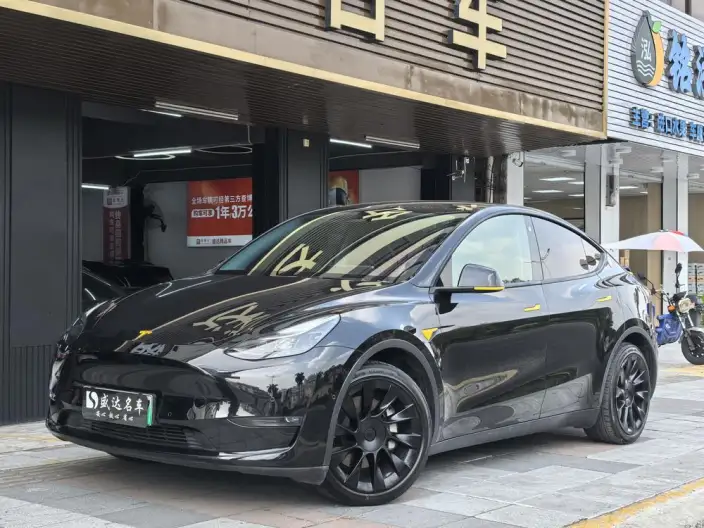 Model Y 2021 Model Standard Battery Life Rear-wheel drive version – фото 1