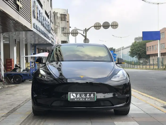 Model Y 2021 Model Standard Battery Life Rear-wheel drive version – фото 2