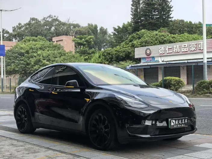 Model Y 2021 Model Standard Battery Life Rear-wheel drive version – фото 3