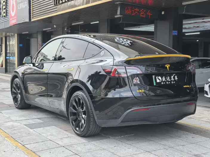 Model Y 2021 Model Standard Battery Life Rear-wheel drive version – фото 4