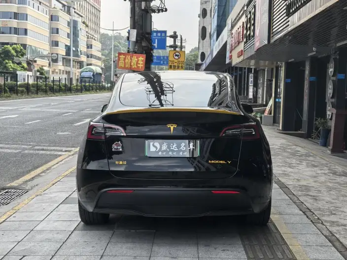 Model Y 2021 Model Standard Battery Life Rear-wheel drive version – фото 5