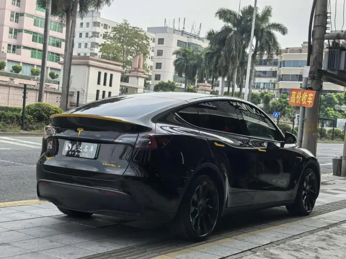 Model Y 2021 Model Standard Battery Life Rear-wheel drive version – фото 6