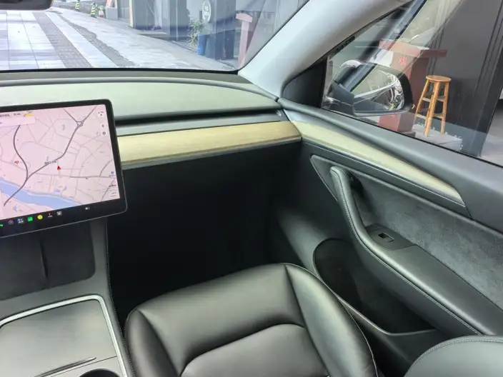 Model Y 2021 Model Standard Battery Life Rear-wheel drive version – фото 8