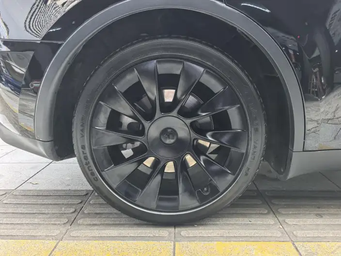 Model Y 2021 Model Standard Battery Life Rear-wheel drive version – фото 10