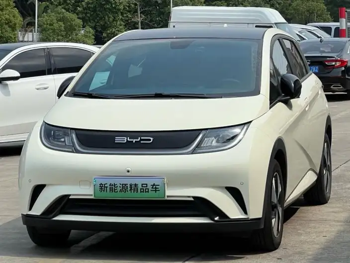 BYD Dolphin 2023 Model Fashion Edition – фото 1