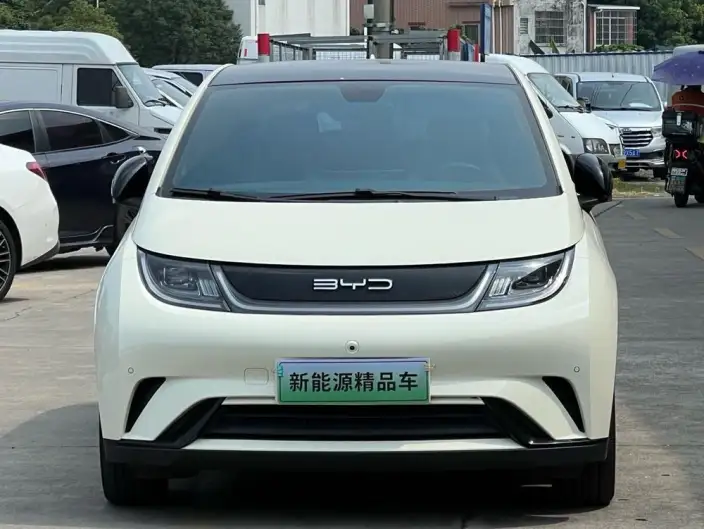 BYD Dolphin 2023 Model Fashion Edition – фото 2