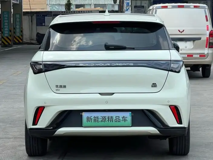 BYD Dolphin 2023 Model Fashion Edition – фото 3