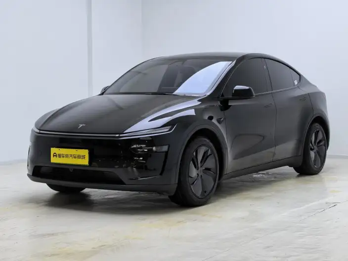 Model Y 2026 Model Rear-wheel drive version – фото 1