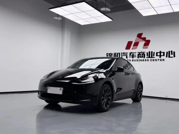Model Y 2022 Model Rear-wheel drive version – фото 1