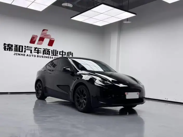 Model Y 2022 Model Rear-wheel drive version – фото 3