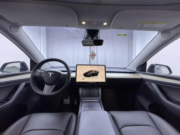 Model Y 2022 Model Rear-wheel drive version – фото 9