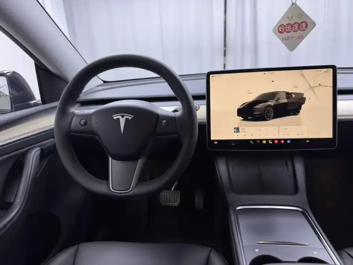 Model Y 2022 Model Rear-wheel drive version – фото 10