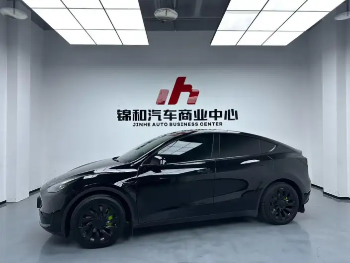 Model Y 2022 Model Rear-wheel drive version – фото 1