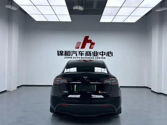Model Y 2022 Model Rear-wheel drive version – фото 3