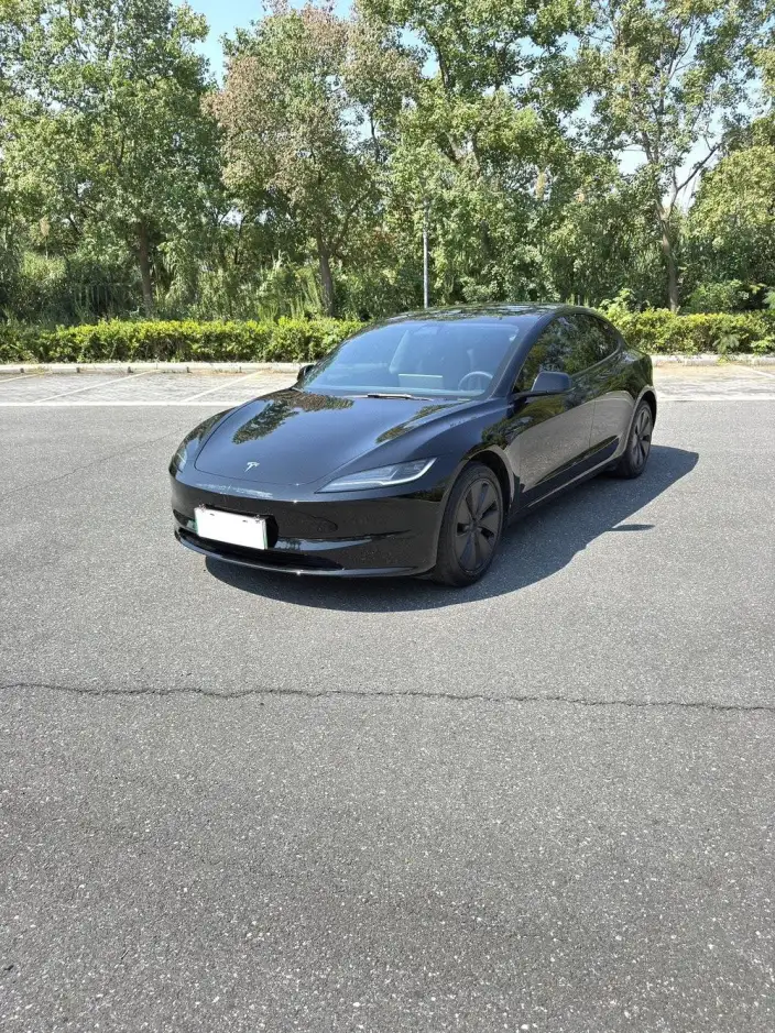 Model 3 2025 Model Rear-wheel drive version – фото 1