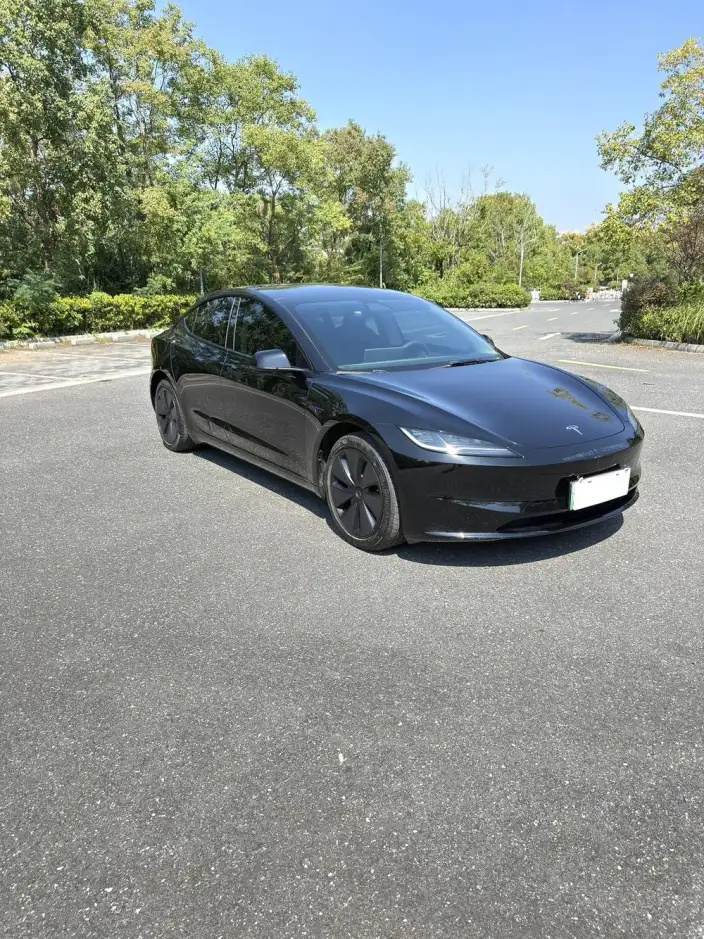Model 3 2025 Model Rear-wheel drive version – фото 3