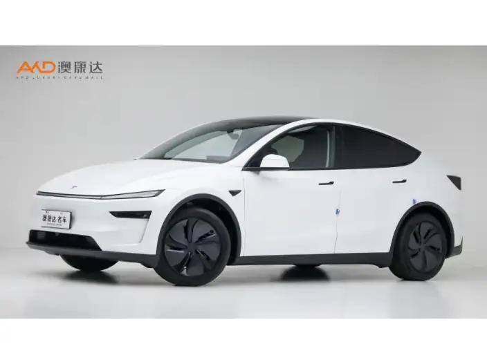 Model Y 2026 Model Long Battery Life Pro Rear-wheel drive version – фото 1