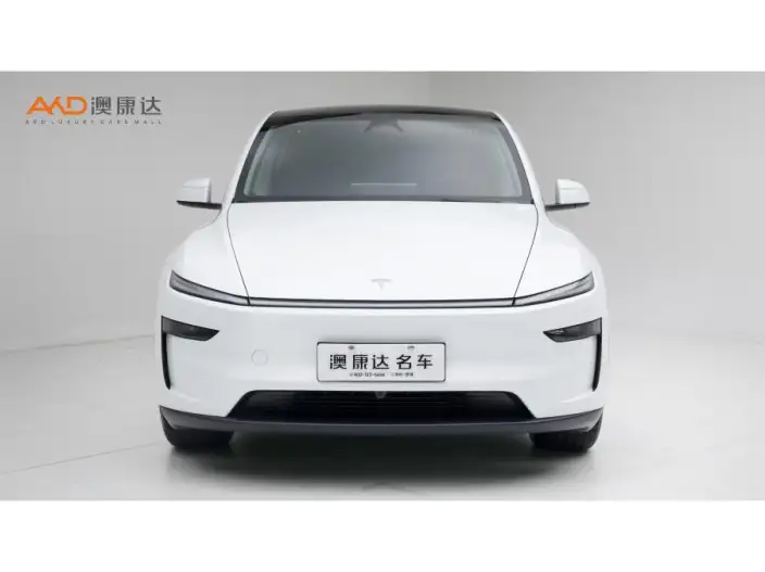 Model Y 2026 Model Long Battery Life Pro Rear-wheel drive version – фото 2