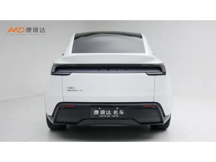 Model Y 2026 Model Long Battery Life Pro Rear-wheel drive version – фото 3