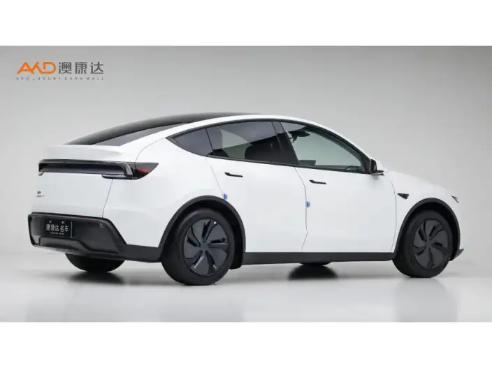 Model Y 2026 Model Long Battery Life Pro Rear-wheel drive version – фото 4