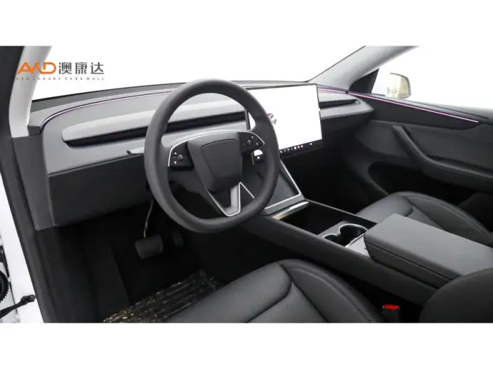 Model Y 2026 Model Long Battery Life Pro Rear-wheel drive version – фото 6