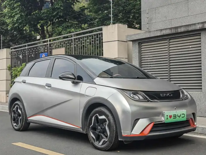 BYD Dolphin 2021 Model Free Edition – фото 3