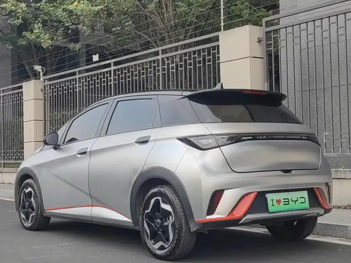 BYD Dolphin 2021 Model Free Edition – фото 4