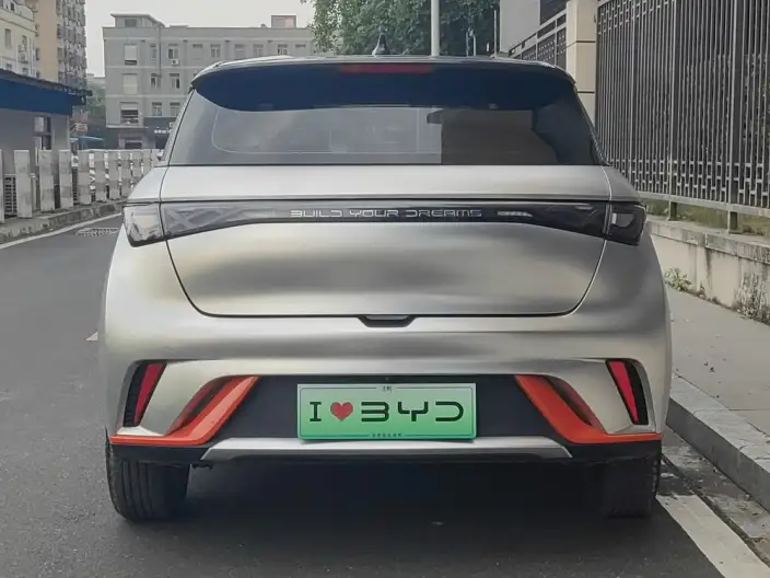 BYD Dolphin 2021 Model Free Edition – фото 5