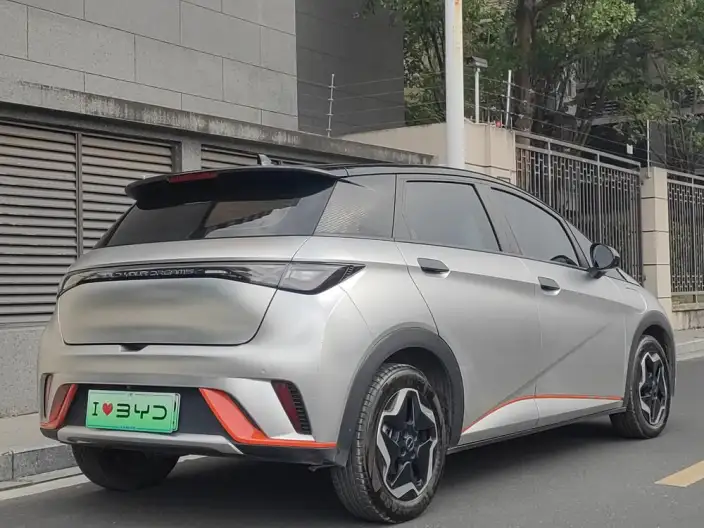 BYD Dolphin 2021 Model Free Edition – фото 6