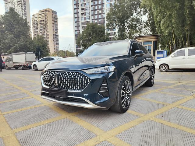 Mocha Модель 2021 года 2.0T 2WD Strong Edition – фото 1