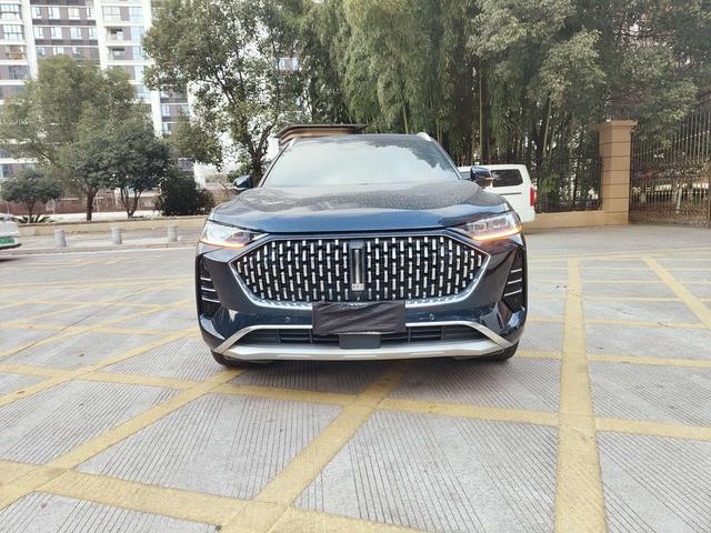 Mocha Модель 2021 года 2.0T 2WD Strong Edition – фото 2