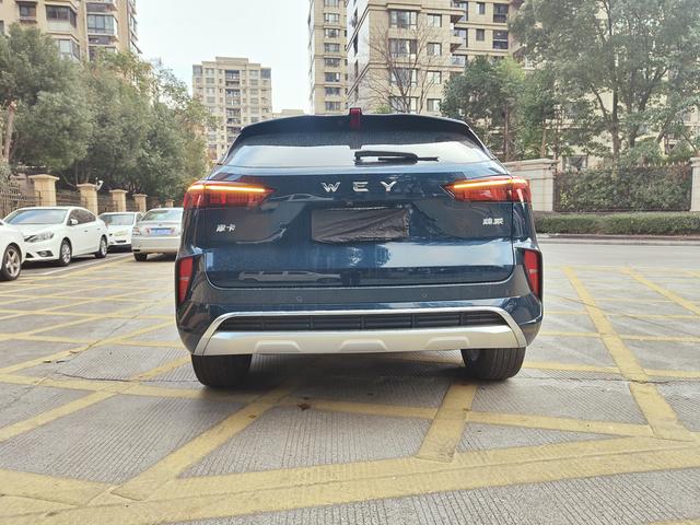 Mocha Модель 2021 года 2.0T 2WD Strong Edition – фото 13