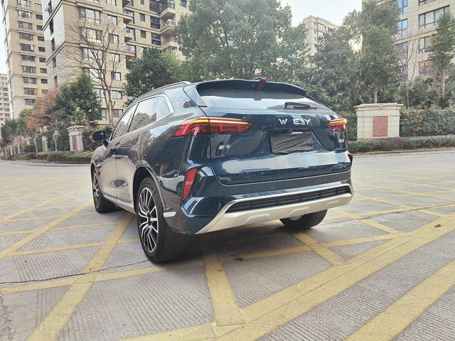 Mocha Модель 2021 года 2.0T 2WD Strong Edition – фото 14