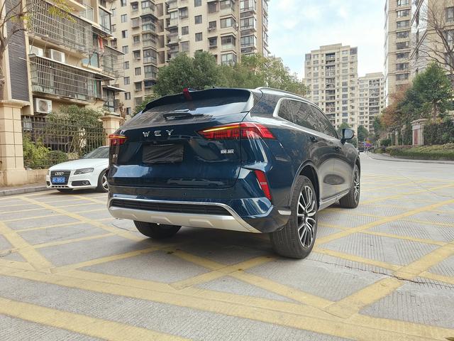 Mocha Модель 2021 года 2.0T 2WD Strong Edition – фото 15