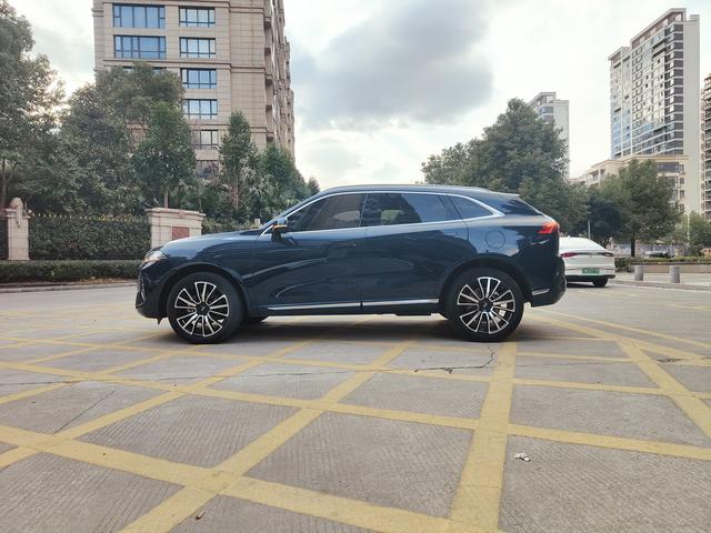 Mocha Модель 2021 года 2.0T 2WD Strong Edition – фото 16