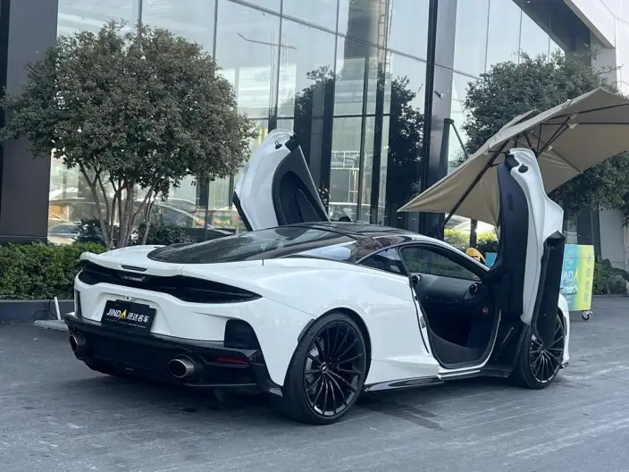 McLaren GT 2019 Model 4.0T Standard Model – фото 5
