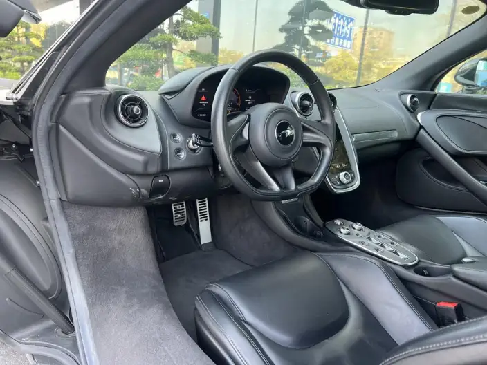 McLaren GT 2019 Model 4.0T Standard Model – фото 6
