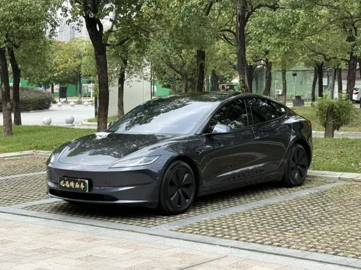 Model 3 2023 Model Long Battery Life Pro All-wheel drive version – фото 1