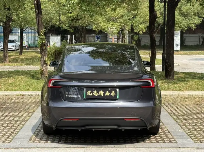 Model 3 2023 Model Long Battery Life Pro All-wheel drive version – фото 6