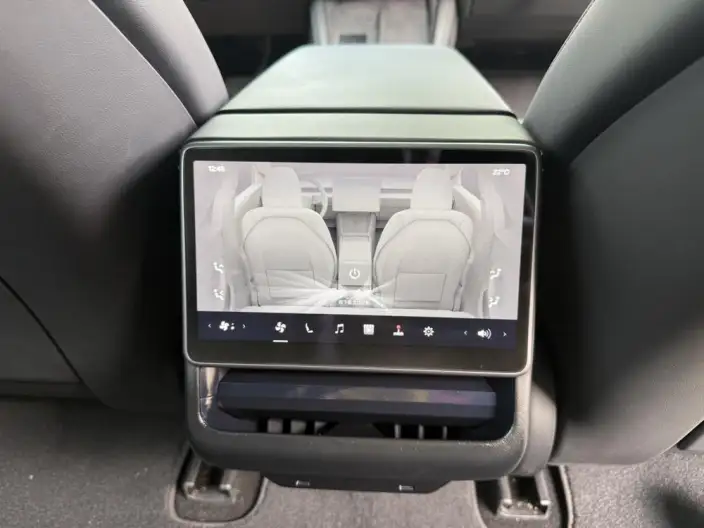 Model 3 2023 Model Long Battery Life Pro All-wheel drive version – фото 9